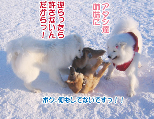 楽しかったり、嬉しかったり、そして悲しかったり..._a0044521_1402780.jpg