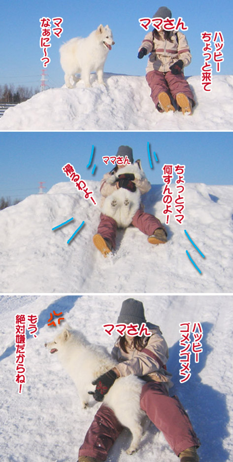楽しかったり、嬉しかったり、そして悲しかったり..._a0044521_1413375.jpg
