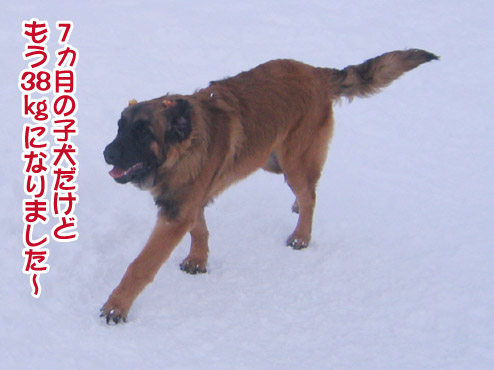 楽しかったり、嬉しかったり、そして悲しかったり..._a0044521_1431145.jpg