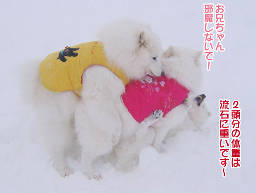 楽しかったり、嬉しかったり、そして悲しかったり..._a0044521_1433666.jpg