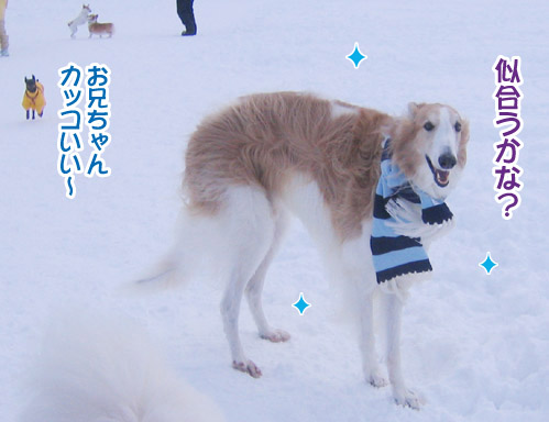 楽しかったり、嬉しかったり、そして悲しかったり..._a0044521_146187.jpg