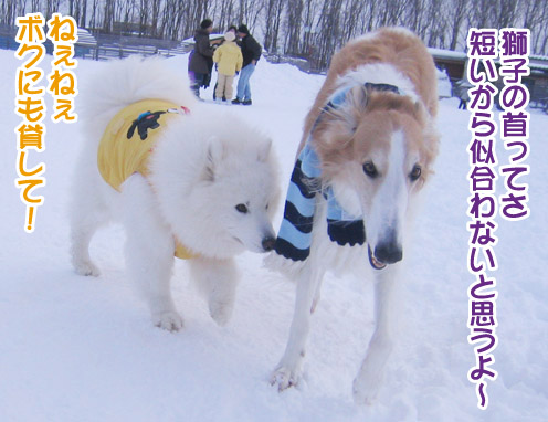 楽しかったり、嬉しかったり、そして悲しかったり..._a0044521_1463434.jpg