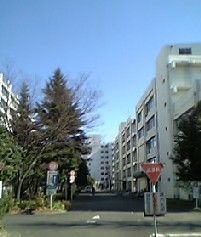a0108328_2335775.jpg