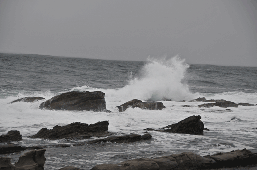 c0093046_17544821.gif