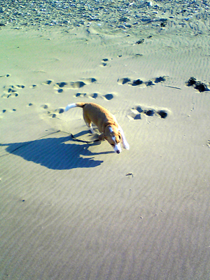 f0154850_11239.jpg