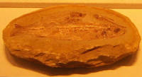 e0033751_23342696.jpg