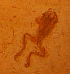 e0033751_23351021.jpg