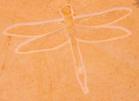 e0033751_23352652.jpg