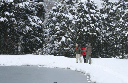 c0080856_1814783.gif