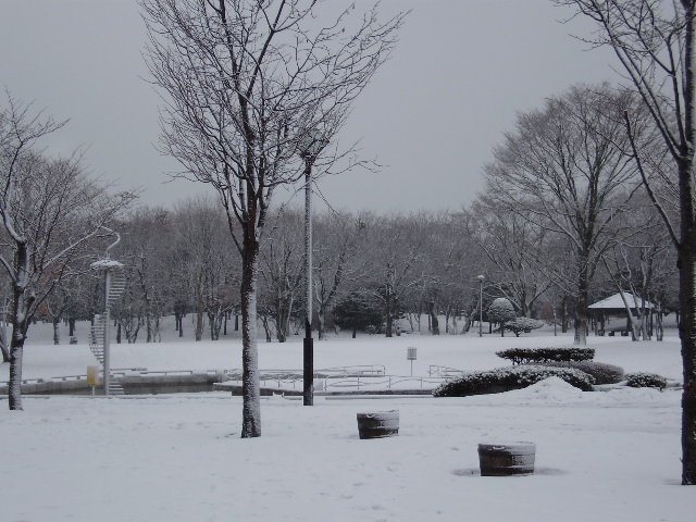 冬の市民文化公園_d0153062_10164431.jpg