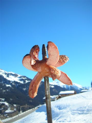 c0059063_23441657.jpg
