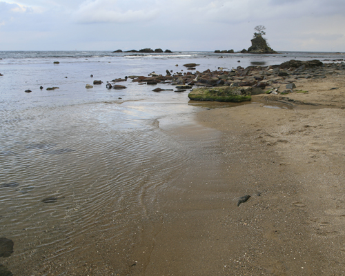 氷見-白川郷-撮影旅行　その2_c0152883_18482872.jpg