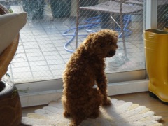 2008年2月17日　寒いなあ。。。         _b0098584_234069.jpg