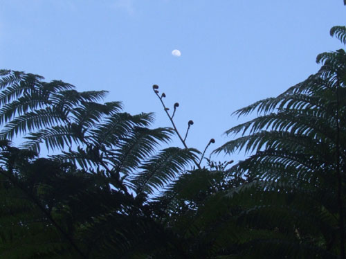 e0028387_29037.jpg