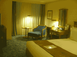 名古屋１日目（後編）_d0134292_200579.gif