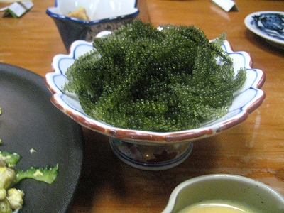 f0117892_22465576.jpg