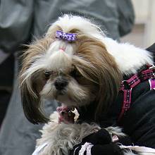 c0028424_18485520.jpg