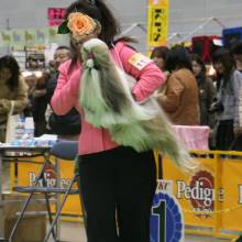 c0028424_18533847.jpg