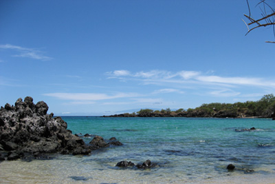 c0024729_22302135.jpg