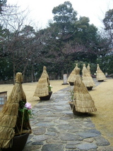 f0124733_18165.jpg
