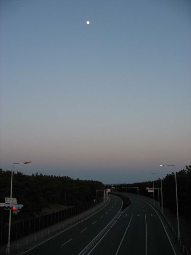 c0111535_11424.jpg
