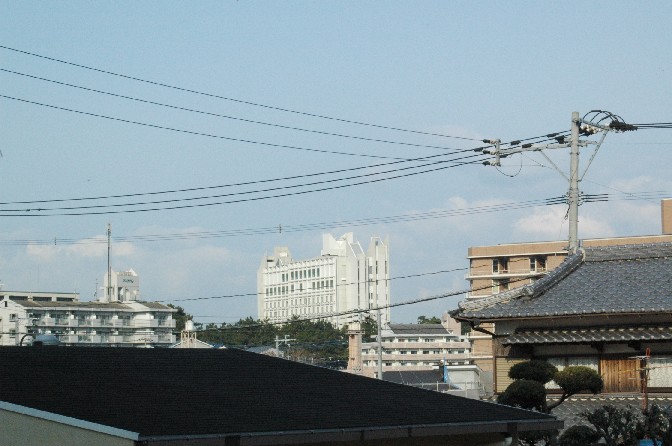c0142535_1958428.jpg