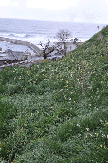 c0093046_647861.gif
