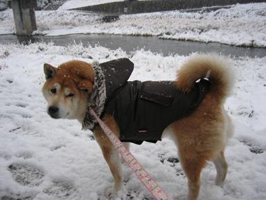 やっと晴れ~♪_c0049950_0254529.jpg