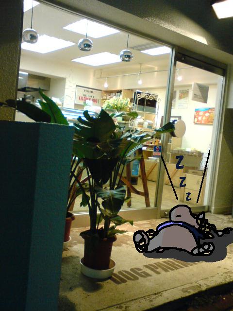 f0096569_08122.jpg