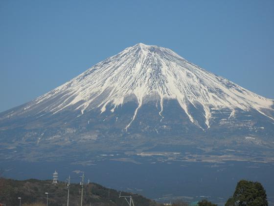 ケイマンと関東へ出張_c0121975_18423847.jpg