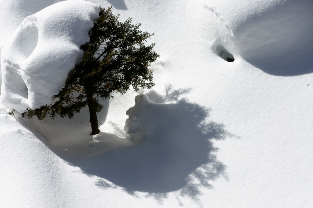 吹雪　のち　晴れ♪_c0106977_12541855.jpg