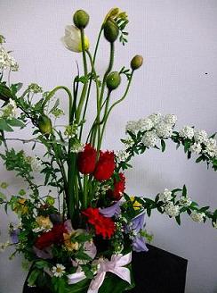 ☆ポピー_d0069085_21294583.jpg