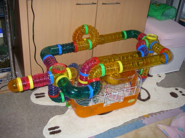 e0010301_1643435.jpg