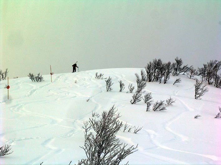 c0078410_23122552.jpg