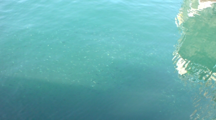 b0087914_0403575.jpg
