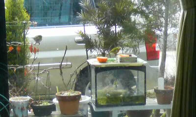 c0138720_10574479.jpg