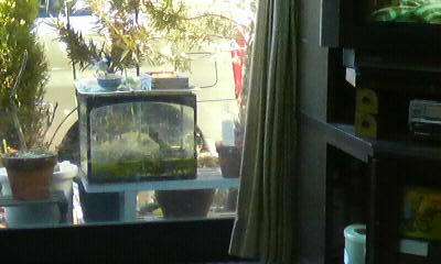 c0138720_10585041.jpg