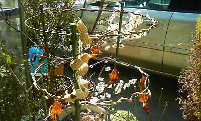 c0138720_1102645.jpg