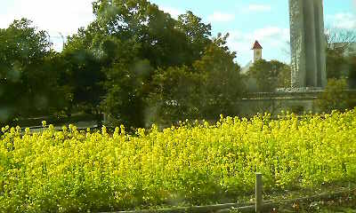 c0138720_1131724.jpg