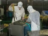 野沢菜の異物除去_e0137729_8381316.jpg