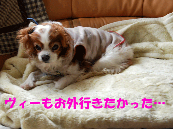 c0136838_17573373.gif