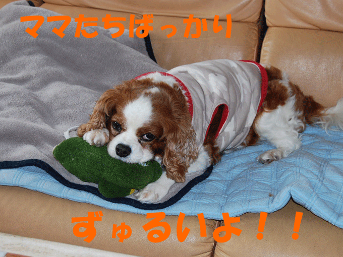 c0136838_1813224.gif
