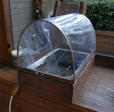 自作育苗器の試験結果 Ainame60 たまたま日記 自作育苗器の試験結果 Ainame60 たまたま日記