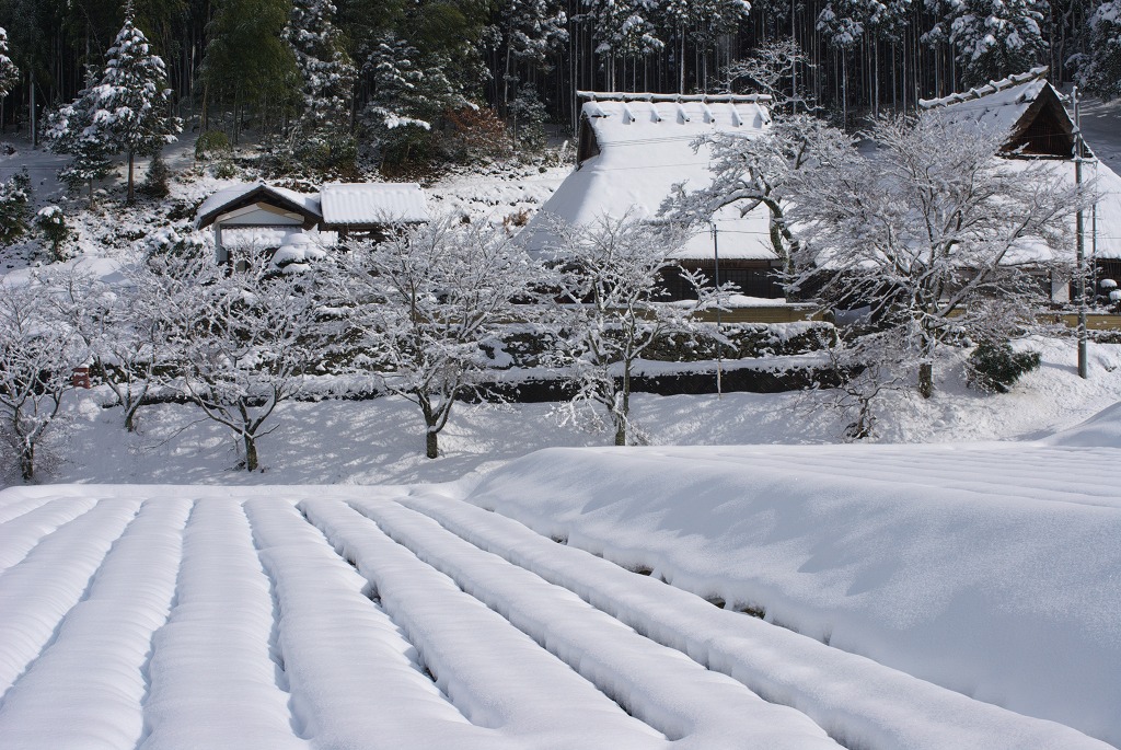 里の冬_f0155048_232341.jpg