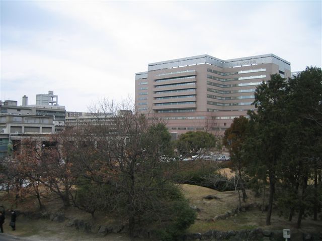a0027555_7523783.jpg