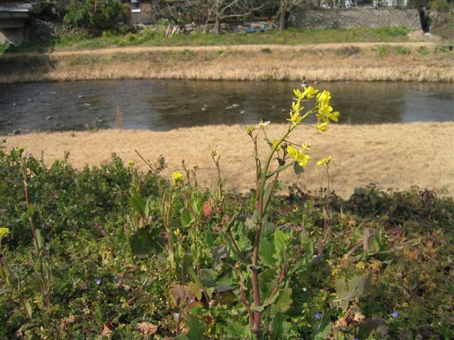 a0027555_9261891.jpg
