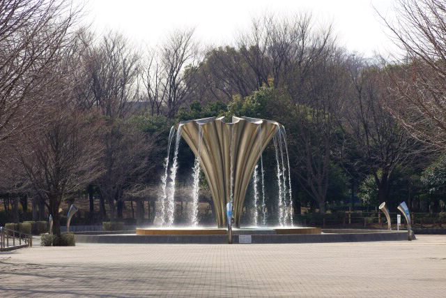 赤塚公園 あだっちゃんの花鳥風月 赤塚公園 あだっちゃんの花鳥風月