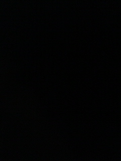 f0029882_226962.jpg