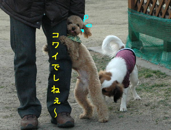 c0075585_057209.jpg