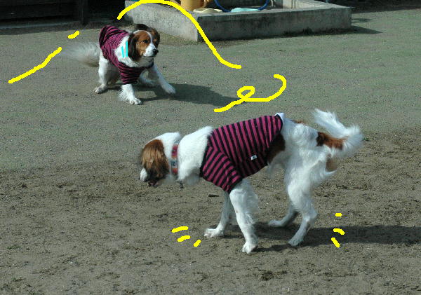 c0075585_116277.jpg